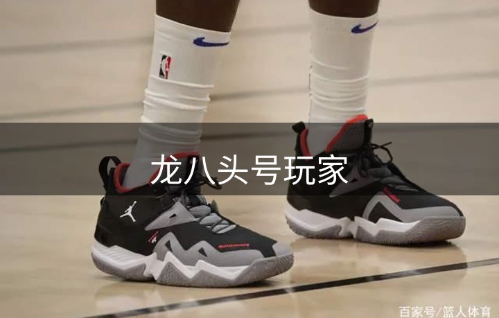 网站概况